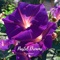 All I Need - Chinsaku lyrics