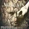 No Rain – Tribal Dance Music by Rafał Gonzo Gondek album lyrics, reviews, download
