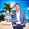 Hey, ich will in den Süden (DJ Remix) - Single