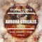 Auorora Borealis (Krisz Deak Remake) - Andrew T Dorn lyrics