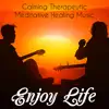 Enjoy Life - Calming Therapeutic Meditative Healing Music for Massage Chakra Therapy Brain Training with Relaxing Nature New Age Sounds album lyrics, reviews, download