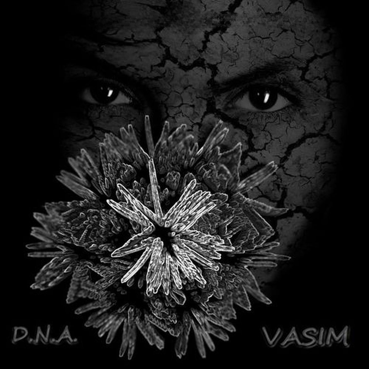 D album. Clockwork Soul. Vasim. D&N. 2014 - Atoms & Emptiness.