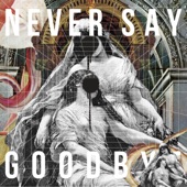 NEVER SAY GOODBYE (feat. Mummy-D) artwork