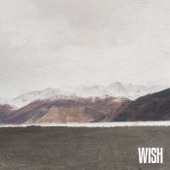 WISH (feat. SURAN) artwork