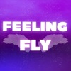 Feeling Fly - Single