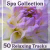 Spa Collection: 50 Relaxing Tracks – Healing Nature Music for Massage, Magic Time, Calm Mind & Total Rest, Ultimate Instrumental New Age album lyrics, reviews, download