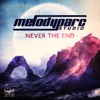 Never the End (Remixes) - Single