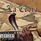 La Cobra artwork