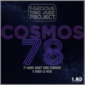 Cosmos 78 artwork
