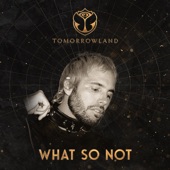 Tomorrowland 2022: What So Not at Crystal Garden, Weekend 1 (DJ Mix) artwork