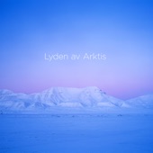 Lasse Thoresen: Lyden av Arktis (The Sound of the Arctic) artwork
