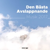 Den Bästa Avslappnande Musik 2017 (Djup Sömn Musik, Regn, Havsvågor, Pianomusik) artwork