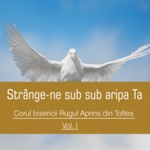Strânge-ne sub aripa Ta, Vol. 1 artwork