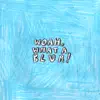 WOAH, WHAT A BLUR! - EP album lyrics, reviews, download
