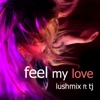 Feel My Love - Single (feat. TJ) - Single