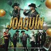 Joaquín artwork