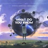 What Do You Know - Single