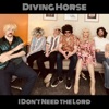 I Don't Need the Lord - Single