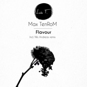Flavour (Nils Andreas Remix) artwork