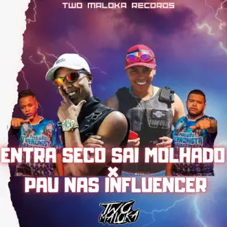 Entra Seco Sai Molhado X Pau nas Influencer by Two Maloka, MC Lobinho & MC DANFLIN song reviws