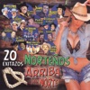 20 Exitazos Nortenos, Vol. 2