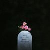 Who Killed Matt Maeson - EP artwork