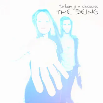 The Being by Torkom Ji & Divasonic song reviws