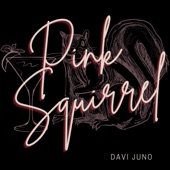 Pink Squirrel artwork