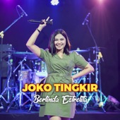 Joko Tingkir artwork