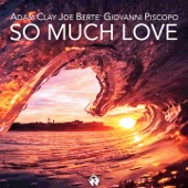 So Much Love (Radio Edit) artwork
