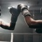 Ufc - Killer Bee lyrics