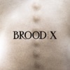 Brood X, 2017