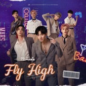 Fly High artwork