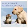 Musiques pour animaux domestiques: Détente et relaxation album lyrics, reviews, download