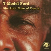 T-Model Ford - She Asked Me so I Told Her
