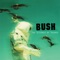 The Chemicals Between Us - Bush lyrics