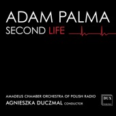 Adam Palma: Second Life artwork