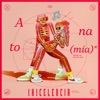 Anatomía - Single