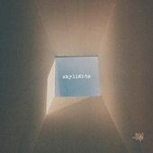 Skylights artwork