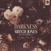 Darkness (feat. Craig Mabbitt) artwork