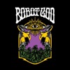 Illusion of Order - Single