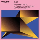 Lover U Don't (Radio Edit) artwork