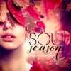 Soul Seasons Ambient Music Delight, 2014