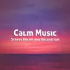 Stream & download Calm Music for Stress Relief and Relaxation - Single