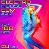 Electro House EDM 2017 Top 100 Hits DJ Mix artwork