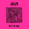 Pretty Big House - Single