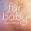Fur Baby Sleep Symphony album lyrics, reviews, download
