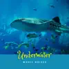 Underwater Whale Noises album lyrics, reviews, download