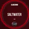 Saltwater (Vip Mix) - Single album lyrics, reviews, download