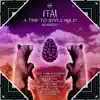 Stream & download A Trip to Idyllwild Remixes - Single